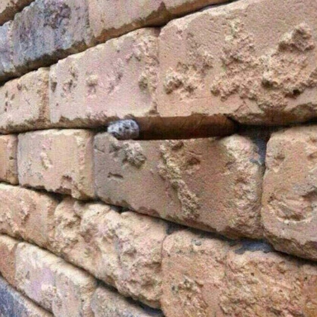 Erkennen Sie, was hier zu sehen ist?