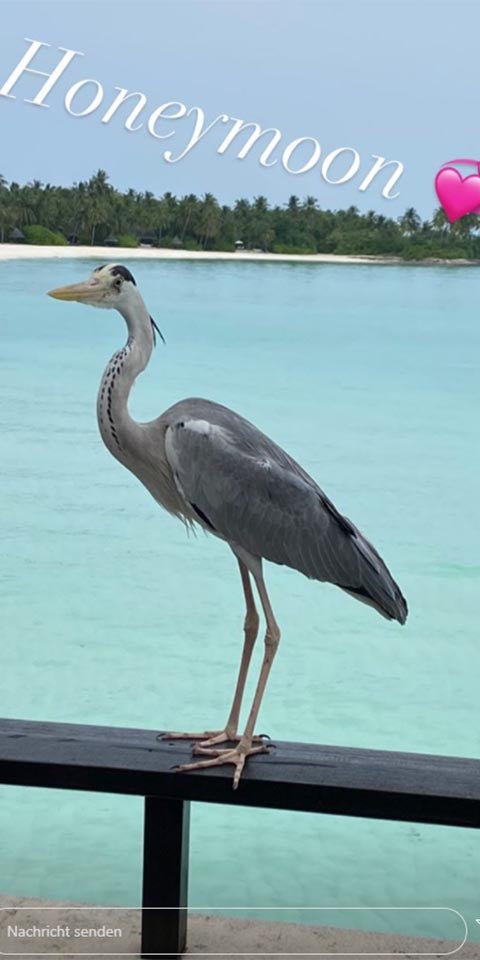 Bettina Assinger Hochzeit und Flitterwochen