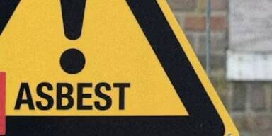 N&Ouml; laut Greenpeace TOP, Stmk und Bgld FLOP