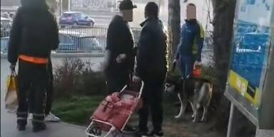 schüsse hansonzentrum