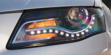 Audis wichtigstes Pferd im Stall