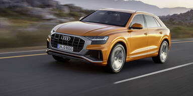 Alle Infos vom völlig neuen Audi Q8