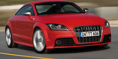 Spa&szlig; f&uuml;r zwei auf allen Vieren