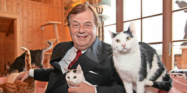 Aiderbichl-Show im TV gerettet