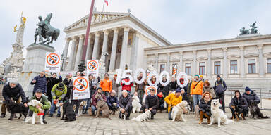 Demo Bellen gegen B&ouml;ller
