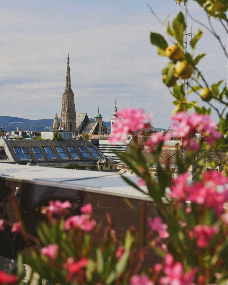 Gekürt! Die beliebtesten Rooftop-Bars in Wien laut Gault&Millau