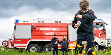 Blumen für die Bienen werden gepflanzt.