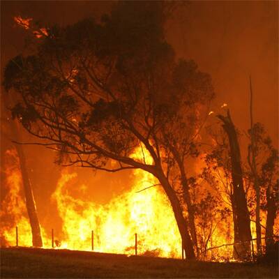 Buschbrände wüten in Australien
