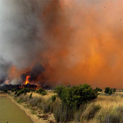 Buschbrände wüten in Australien