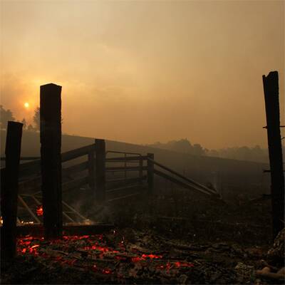 Buschbrände wüten in Australien