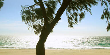 Auf nach Australien!