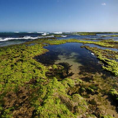 So schön ist Australien