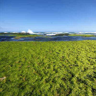 So schön ist Australien