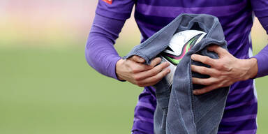 Austria gibt Gr&uuml;nes Licht f&uuml;r Investor