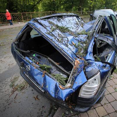 Bäume stürzten auf Autos