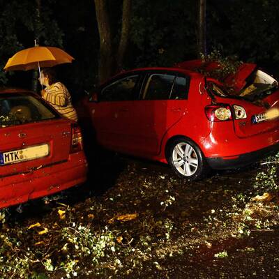 Bäume stürzten auf Autos