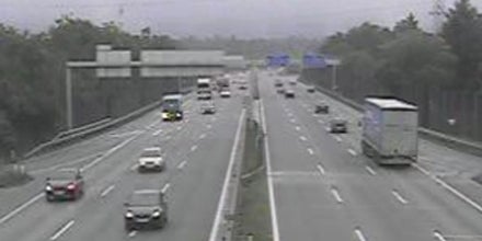 1.000 Blitze an einem Tag