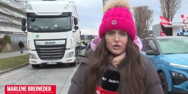 autokorso marlene.PNG