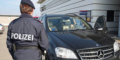 Autos und Teile im Millionenwert gefunden