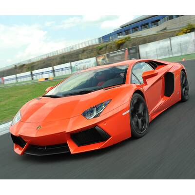 Stier an den Hörnern gepackt