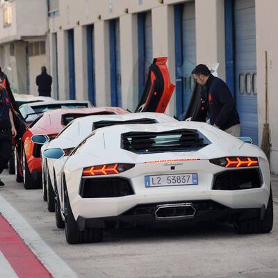 Stier an den Hörnern gepackt