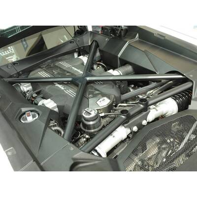 Stier an den Hörnern gepackt