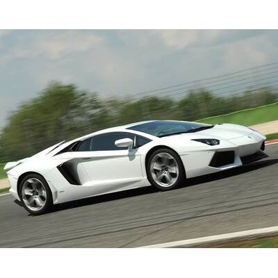 Stier an den Hörnern gepackt