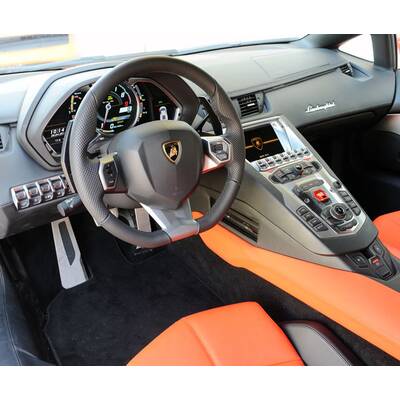 Stier an den Hörnern gepackt