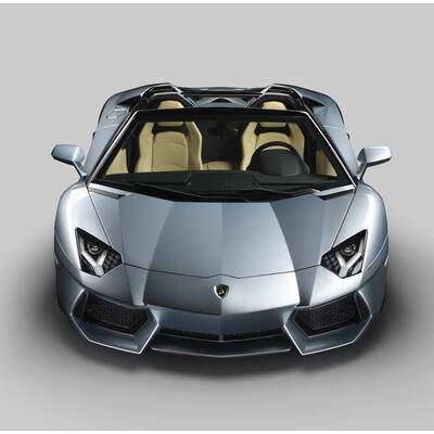 Aventador Roadster