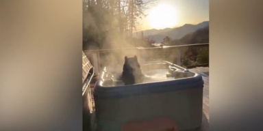 B&auml;r im Whirlpool