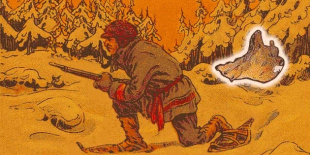 Bär-Rätsel lässt Internet durchdrehen