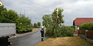 Sturmschäden in NÖ, Steiermark, Burgenland
