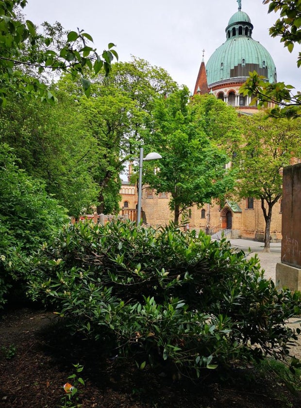Mutmaßliche Diebe vergruben Handys im Wiener Antonspark