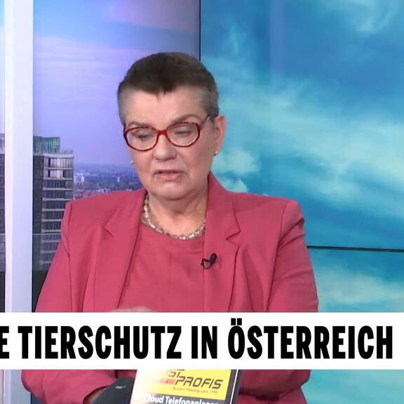 Unsere Tiere: Das grosse Tierschutz-Magazin