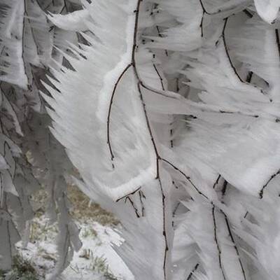 Waidhofen an der Thaya, NÖ