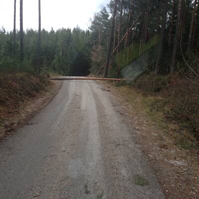 Orkan Felix riss Blechdach in Neunkirchen weg