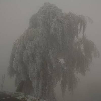 Waidhofen an der Thaya, NÖ