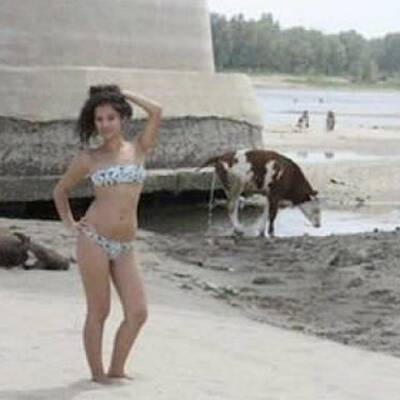 Die lustigsten Bikini-Fotos aller Zeiten