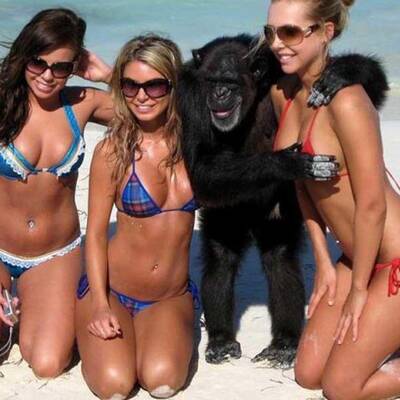 Die lustigsten Bikini-Fotos aller Zeiten