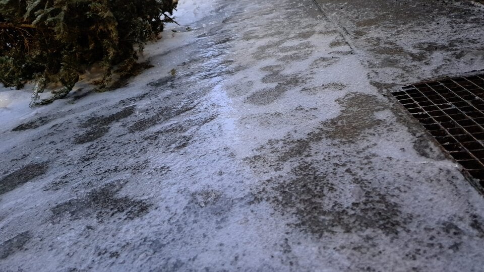 b1b5dd3c-356e-4fcb-ade3-e29b906d4c74.jfif