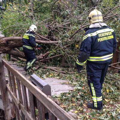Im Bild: Die Florianijünger beim Aufräumen
