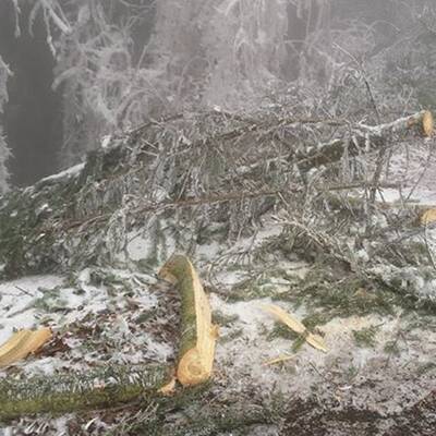 Waidhofen an der Thaya, NÖ