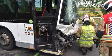 Schwerer Unfall auf der B210 &ndash; Linienbus kam von der Fahrbahn ab&nbsp;