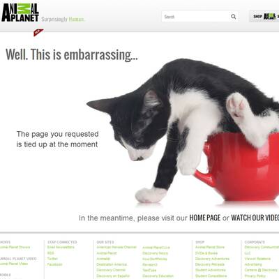 Die lustigsten Fehlermeldungen im Internet