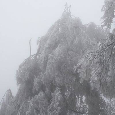 Waidhofen an der Thaya, NÖ