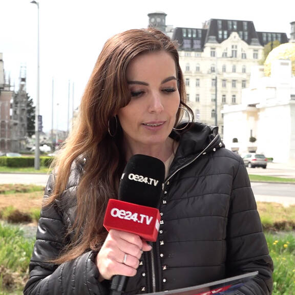 Machtkampf in der SPÖ NÖ: Königsberger-Ludwig tritt gegen Hergovich an