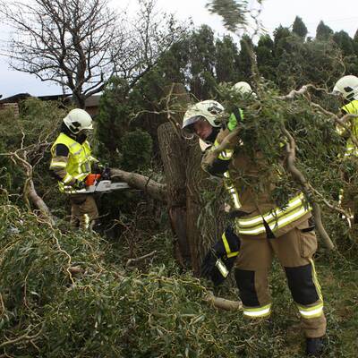 Im Bild: Die Florianijünger beim Aufräumen