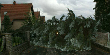 Sturmschäden in NÖ, Steiermark, Burgenland