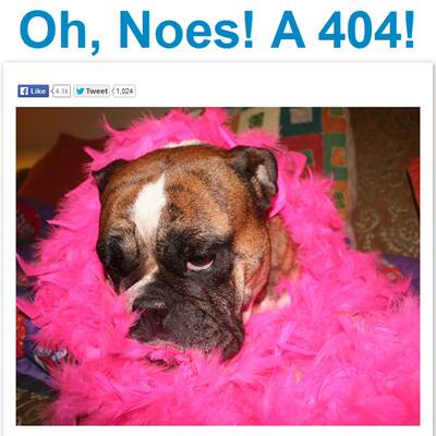 Die lustigsten Fehlermeldungen im Internet