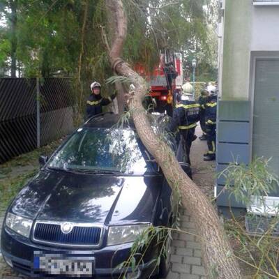 Im Bild: Die Florianijünger beim Aufräumen